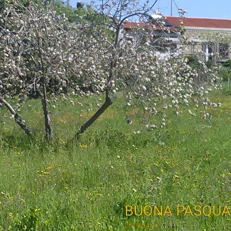 Landsted Casale Irene *