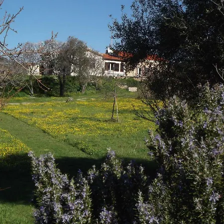 Casale Irene Bosa